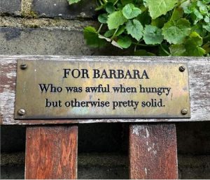 Stupid Bar Memes yousrelatedstosbarbara