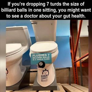 Stupid Bar Memes zsfunnys2s1