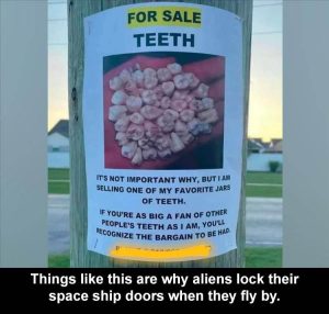 Stupid Bar Memes zsfuns1