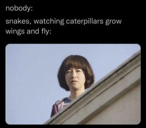 Stupid Bar Memes zsfuns34