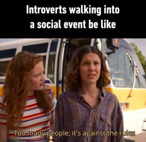 Stupid Bar Memes zsfuns41