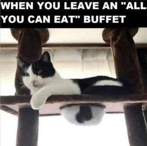 Stupid Bar Memes zsmemeerss12
