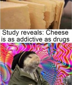 Stupid Bar Memes zsmemes7s1