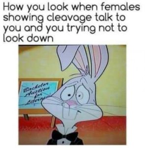 Stupid Bar Memes 0075c0bc19af4b20