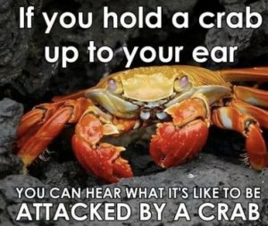 Stupid Bar Memes 01116fb38eec36cb
