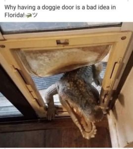 Stupid Bar Memes 0191613a42129571