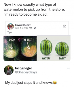 Stupid Bar Memes 0540b5b3b69e2241