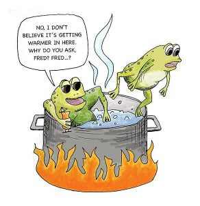Stupid Bar Memes 07685e3956ff8a3e