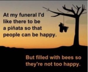 Stupid Bar Memes 086056ae57deecd2