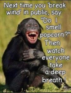 Stupid Bar Memes 0b23cf5d61845d25