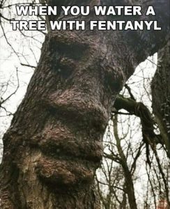 Stupid Bar Memes 16589dc7c52bf6f4