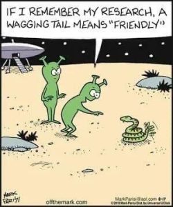 Stupid Bar Memes 16ba57f63529b861
