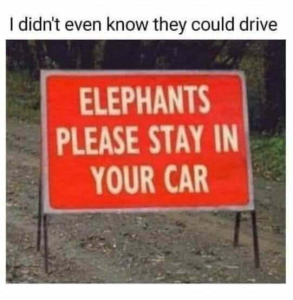 Stupid Bar Memes 18a39277ab8f805e