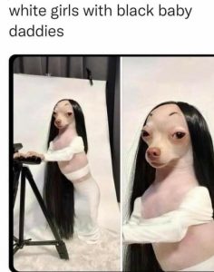Stupid Bar Memes 1abd080b002c8bc6
