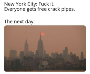 Stupid Bar Memes 1cf8893d64e53c9f