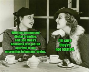 Stupid Bar Memes 1e9f48ea61c76b4d
