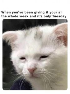 Stupid Bar Memes 1eefe24c06915a84