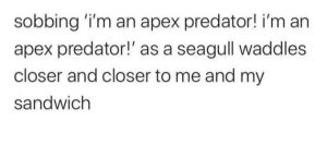 Stupid Bar Memes 1rVvLhp
