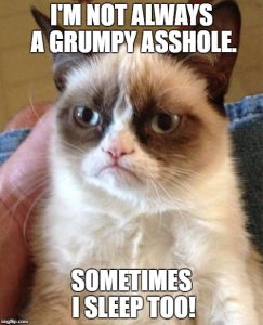 Stupid Bar Memes 1ufrir