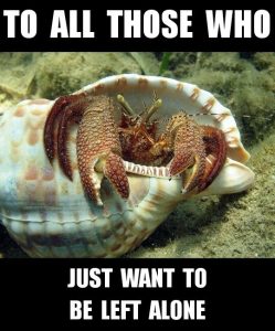 Stupid Bar Memes 2089015f66104b86
