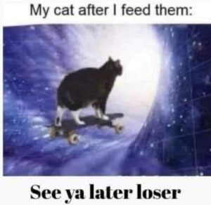 Stupid Bar Memes 21a006a67f241ec1