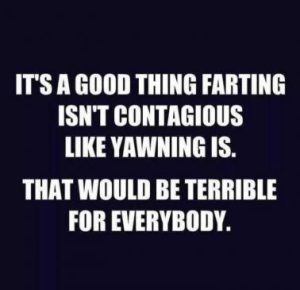 Stupid Bar Memes 21dfdf204c15b72c