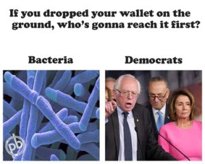 Stupid Bar Memes 21ec262cdf5351cd