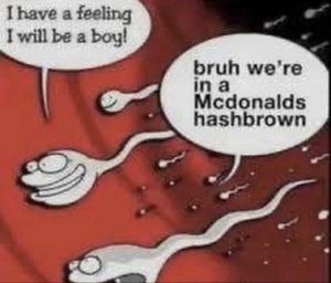 Stupid Bar Memes 255bb44001e8bbc9