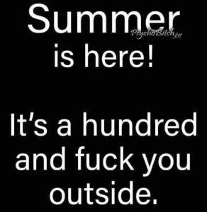 Stupid Bar Memes 26fd098e5830eef7