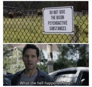 Stupid Bar Memes 286a9da5e5c8b6c5