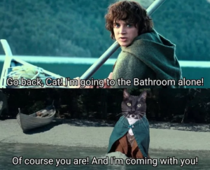 Stupid Bar Memes 29001ccaf1ab11d2