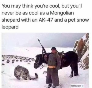 Stupid Bar Memes 2af5b4284250fe48