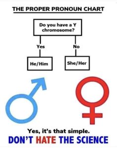 Stupid Bar Memes 30b09defd1bf7f4e
