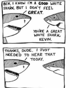 Stupid Bar Memes 320853e59dbd4b7a