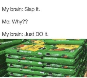 Stupid Bar Memes 33ec09310a45da5f