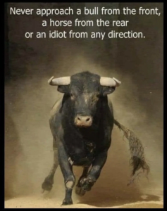 Stupid Bar Memes 376a0661a3d0f65a