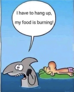 Stupid Bar Memes 3a38265e9e72b524