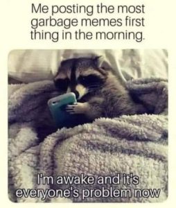 Stupid Bar Memes 3b4425b2787549c2