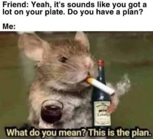 Stupid Bar Memes 3e2ce6d6860d7141