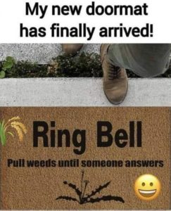 Stupid Bar Memes 3f0d531c30d04303