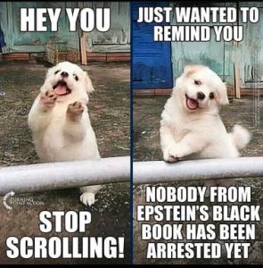 Stupid Bar Memes 3fc3c878a0fcf2bb