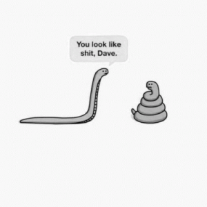 Stupid Bar Memes 40ed927bdb2890e0