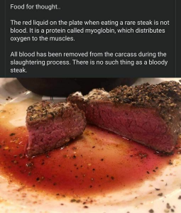Stupid Bar Memes 4245dfcf7167be45