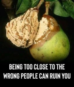 Stupid Bar Memes 43e796f9bc1faebb