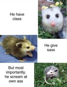 Stupid Bar Memes 4456b9e5d126b846