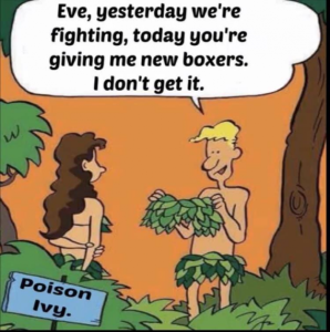 Stupid Bar Memes 44d993833ab1dff9
