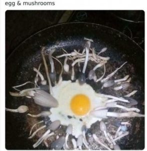 Stupid Bar Memes 44f434764ec66f7f