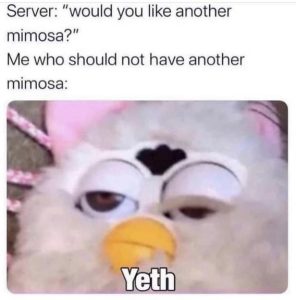 Stupid Bar Memes 48404c8f8e1da7fc