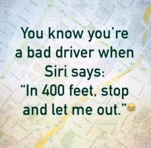 Stupid Bar Memes 488080da02dee760