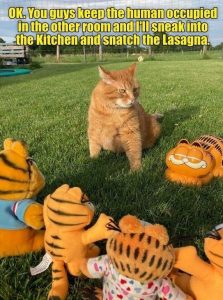 Stupid Bar Memes 4e089d032e5f587c
